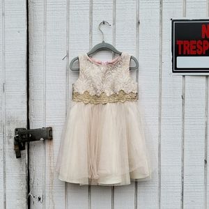 Formal Toddler Dress with Gold and Pink Brocade - some wear